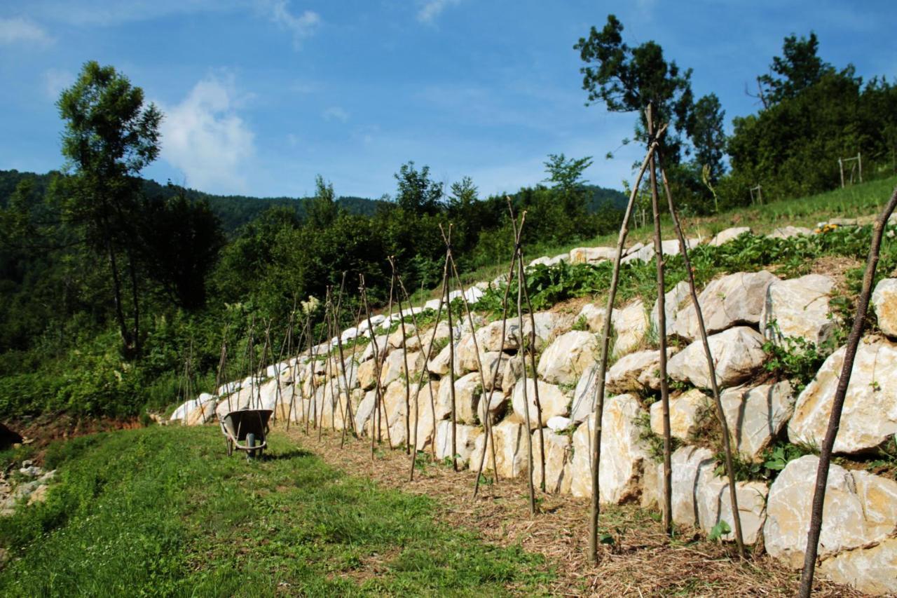 Bosco Delle Rune ..Un Angolo Di Paradiso Platischis Luaran gambar