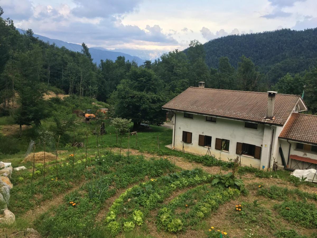 Bosco Delle Rune ..Un Angolo Di Paradiso Platischis Luaran gambar