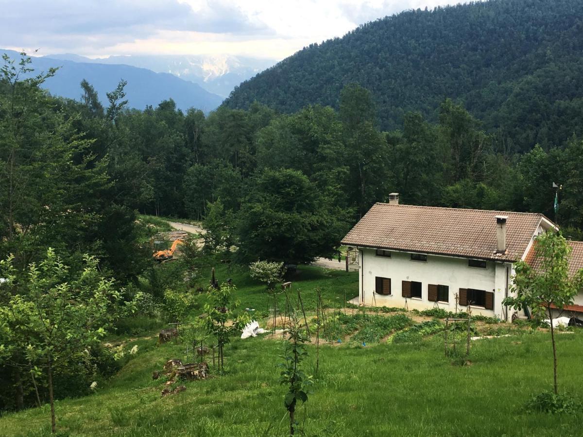 Bosco Delle Rune ..Un Angolo Di Paradiso Platischis Luaran gambar