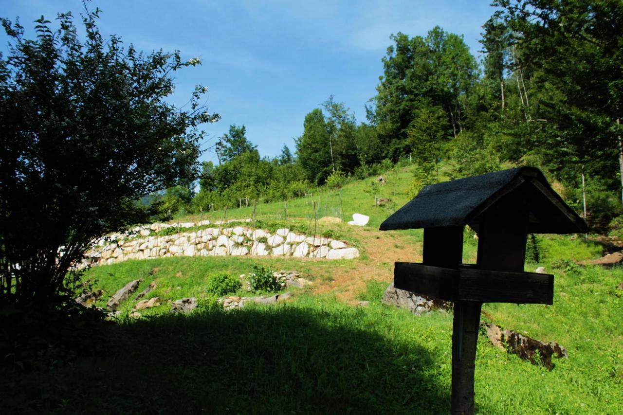 Bosco Delle Rune ..Un Angolo Di Paradiso Platischis Luaran gambar