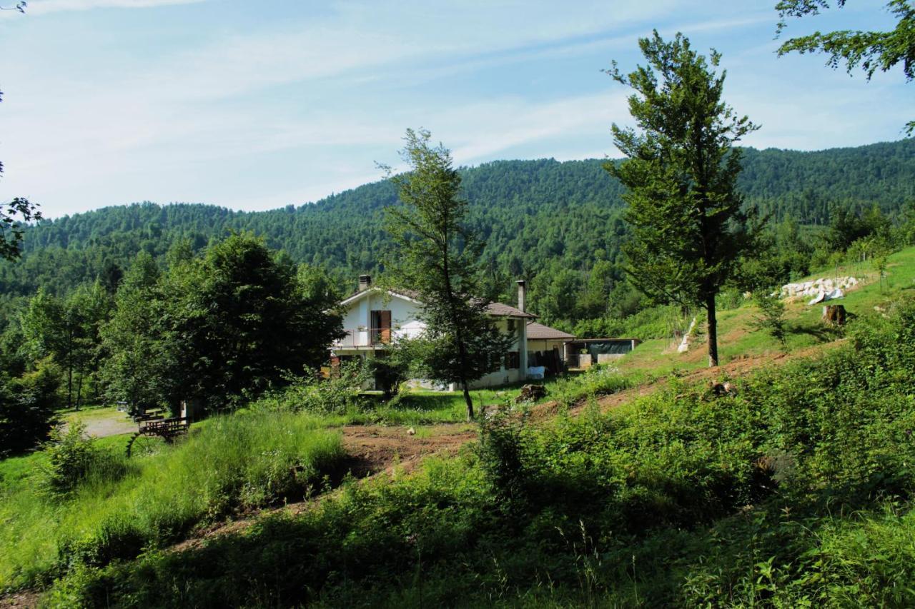 Bosco Delle Rune ..Un Angolo Di Paradiso Platischis Luaran gambar