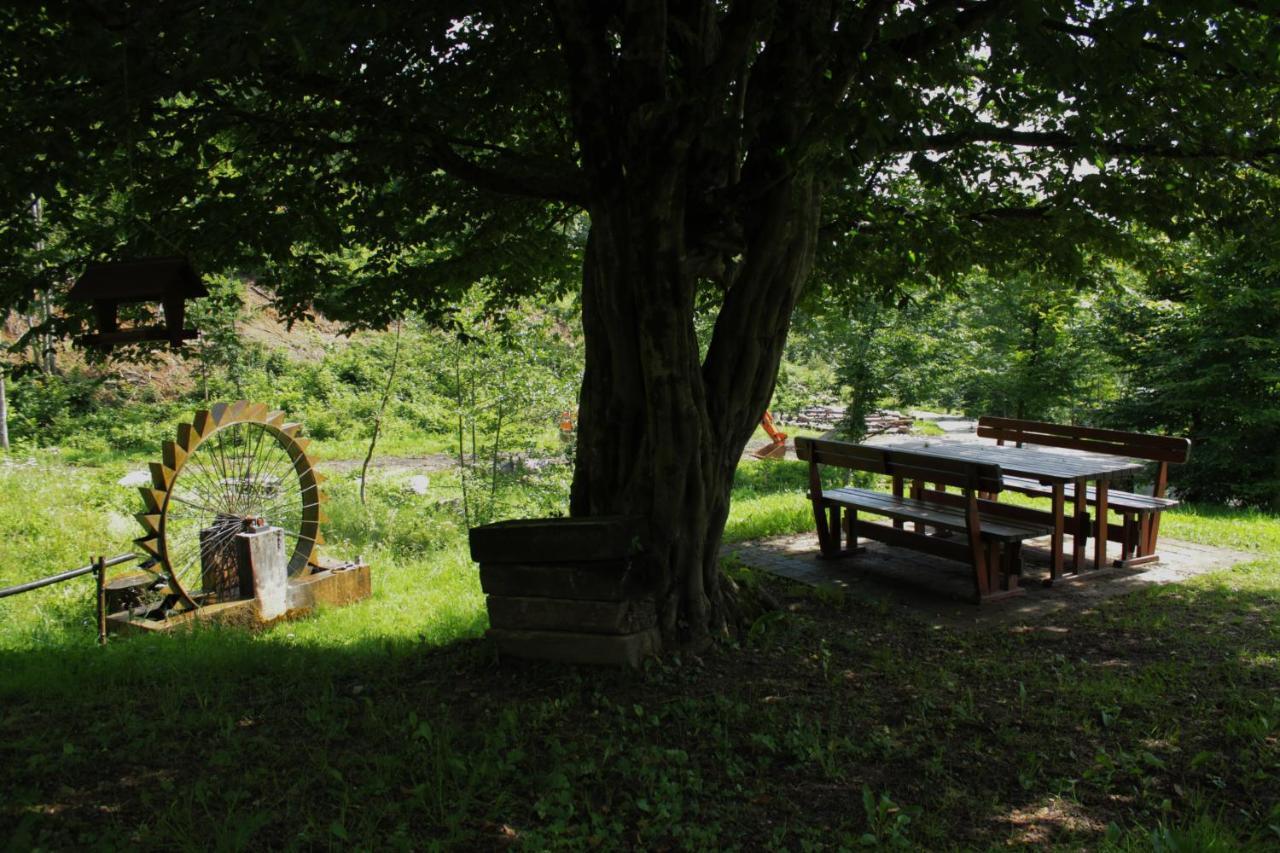 Bosco Delle Rune ..Un Angolo Di Paradiso Platischis Luaran gambar